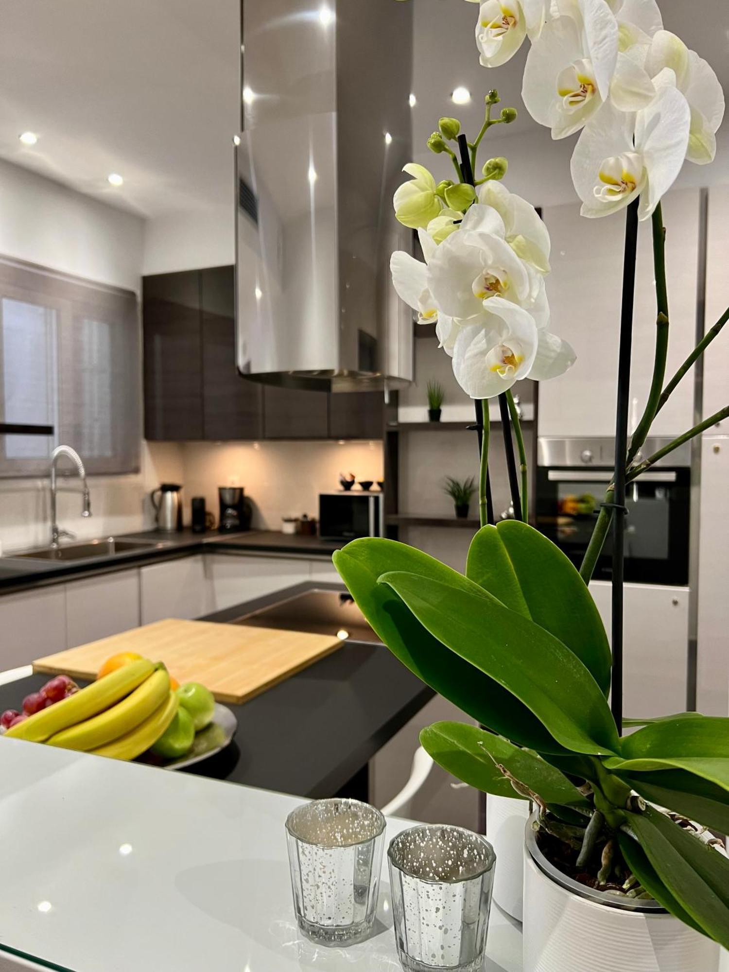 Acropolis View Deluxe Penthouse & Luxury Apartments أثينا الغرفة الصورة